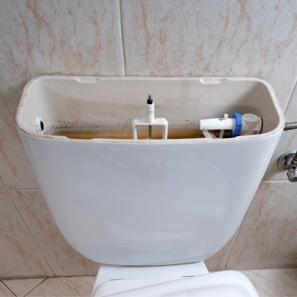 Spülkasten reinigen: Praktische Tipps gegen Kalk und Gerüche
