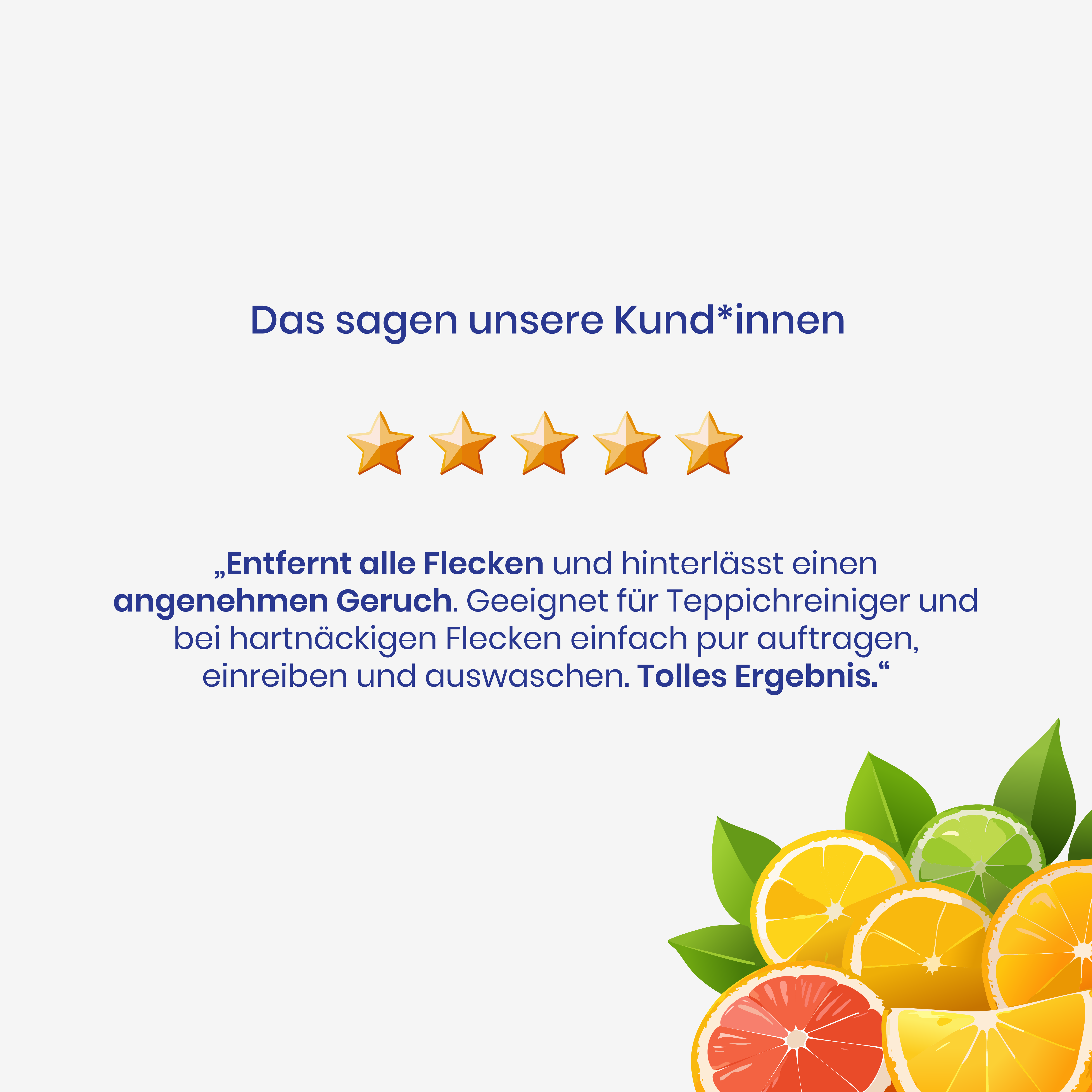 Upholstery & Carpet Cleaner 500ml