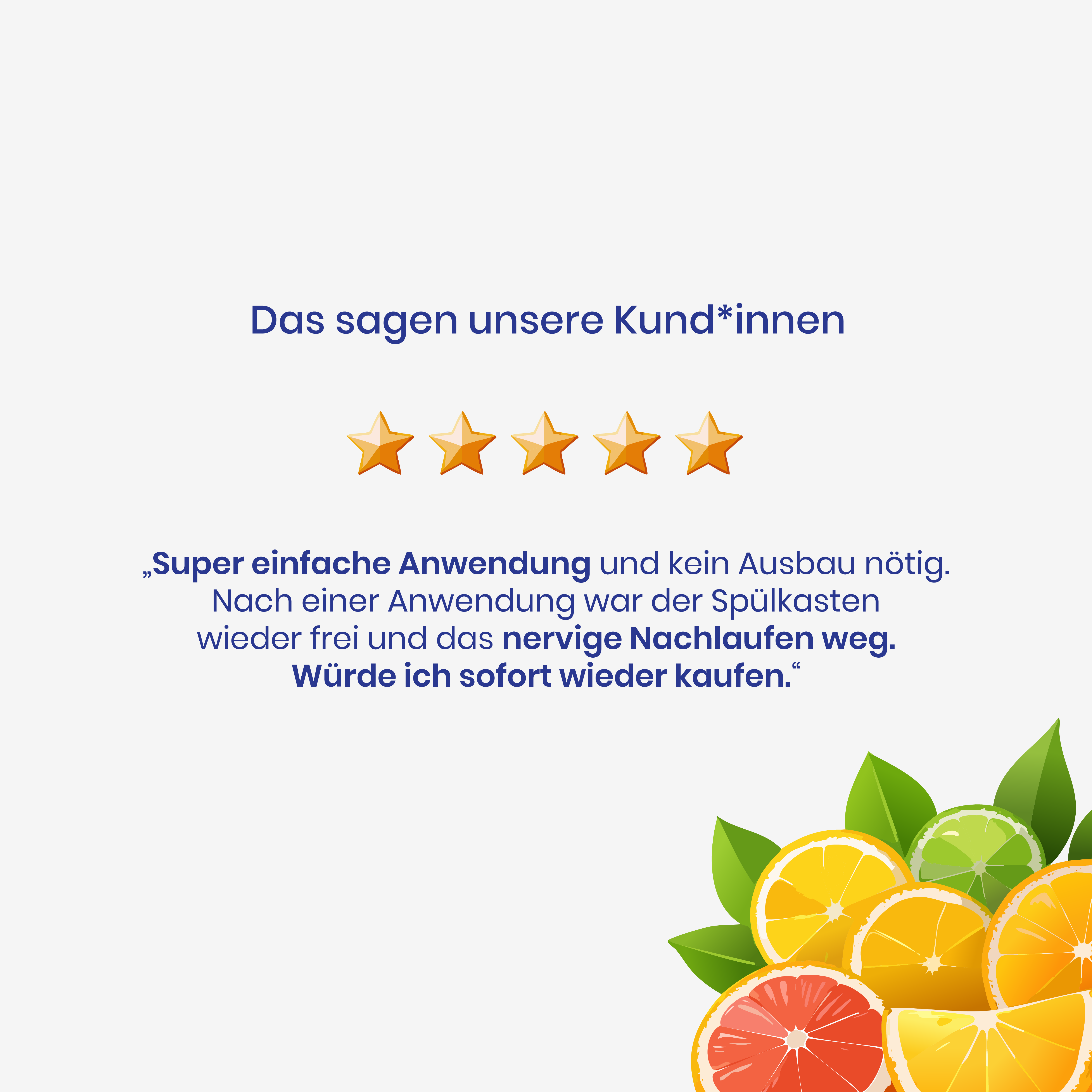 Nettoyant pour réservoir de toilettes 500 ml – Parfum citron contre le calcaire et les odeurs