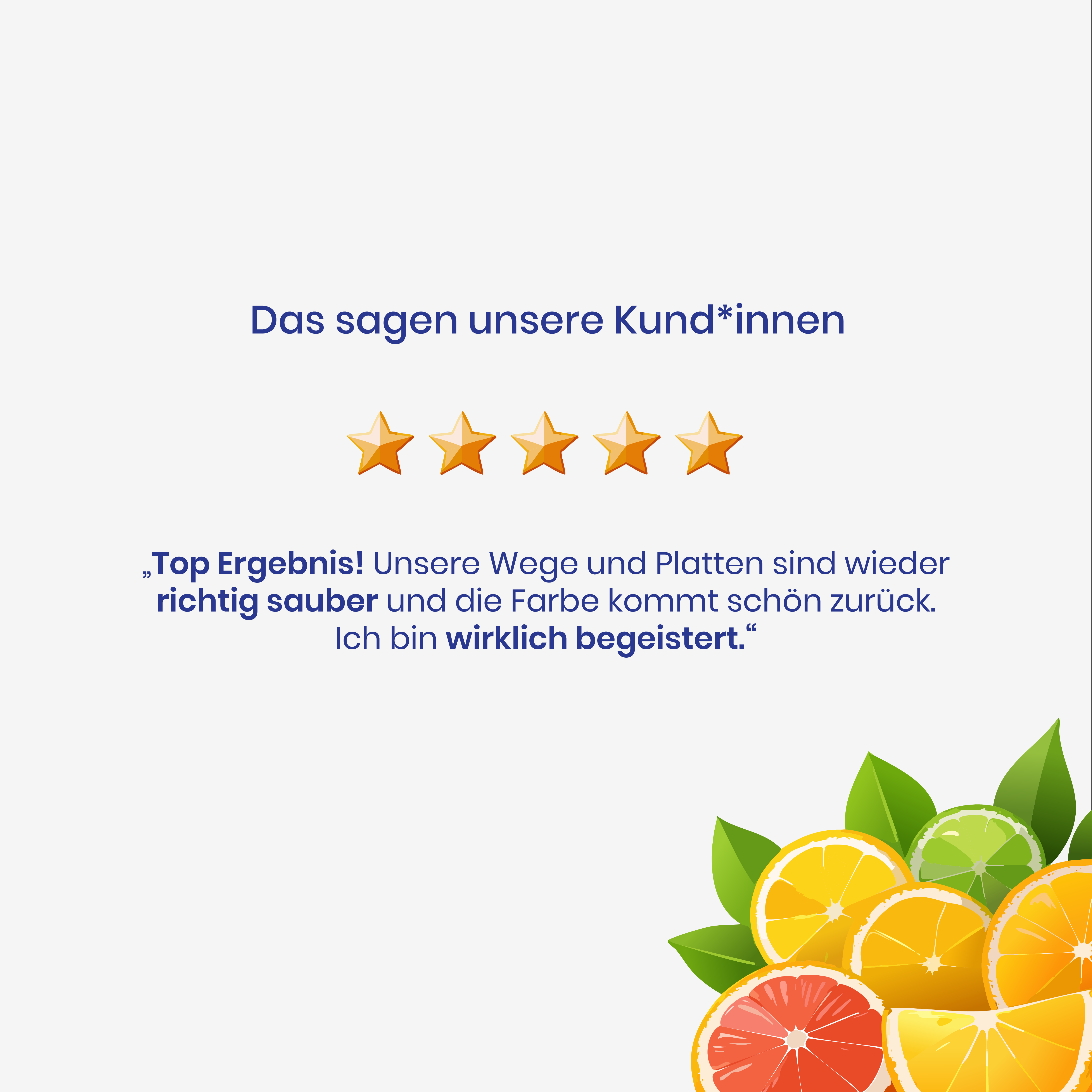 Nettoyant pour pierre 500 ml – Pour terrasses, façades et espaces verts