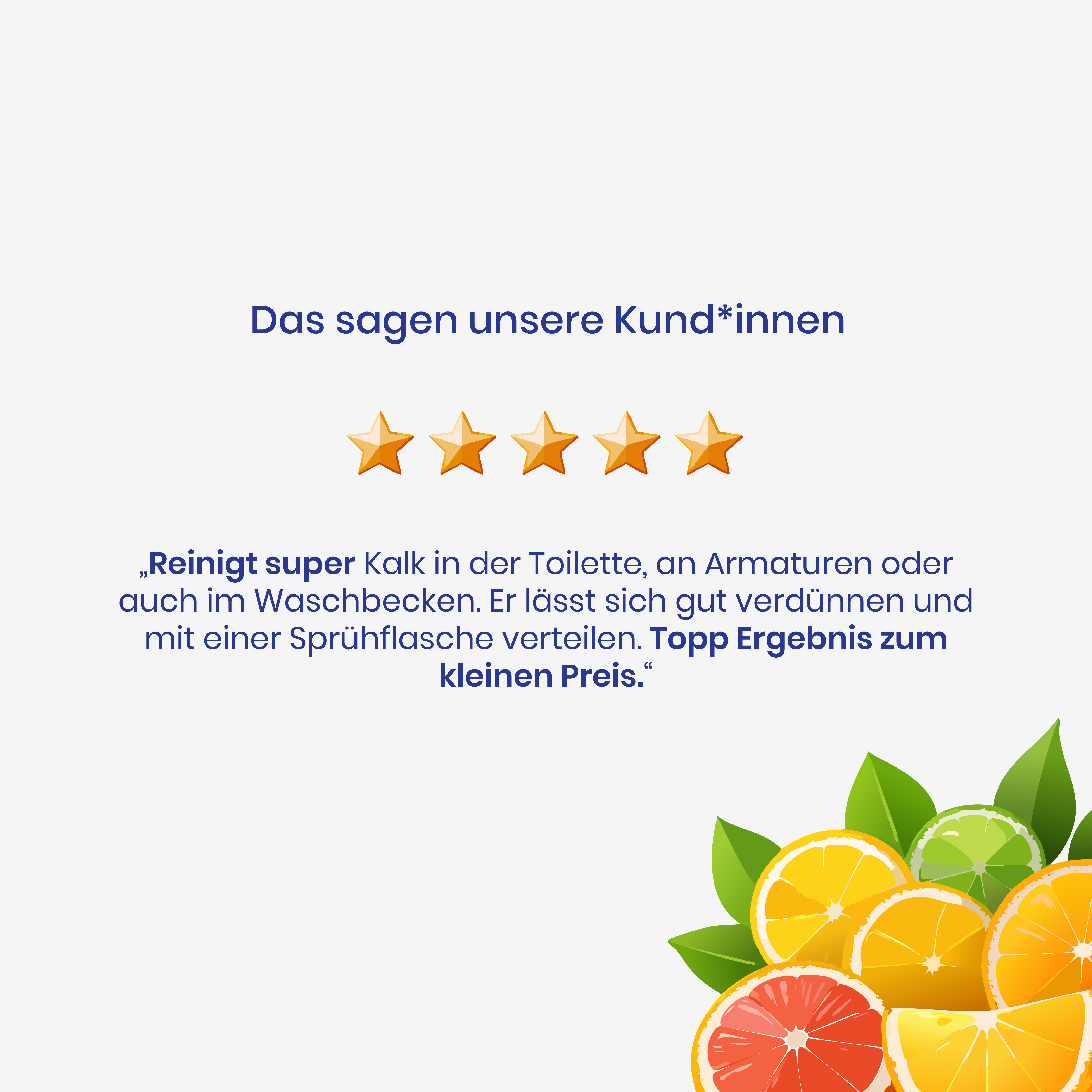 Universal Entkalker 1 Liter